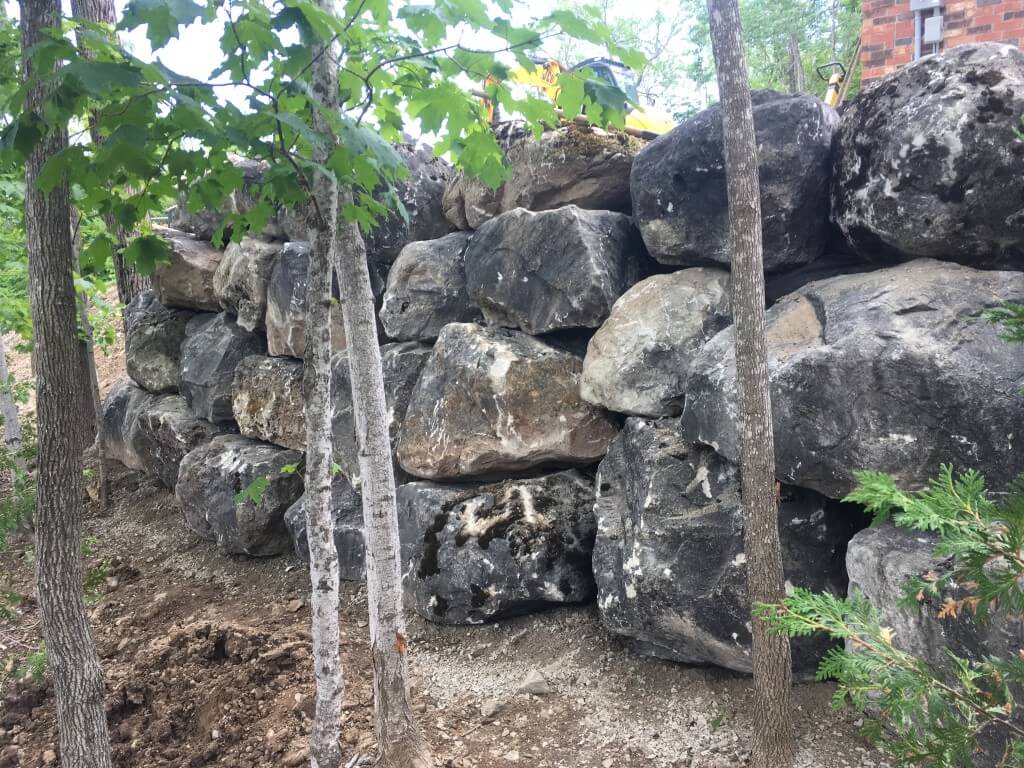 Natural retaining wall